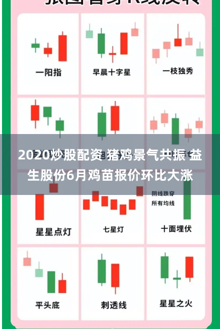 2020炒股配资 猪鸡景气共振 益生股份6月鸡苗报价环比大涨