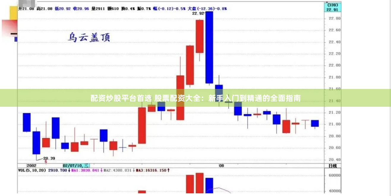 配资炒股平台首选 股票配资大全：新手入门到精通的全面指南