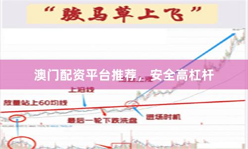澳门配资平台推荐，安全高杠杆